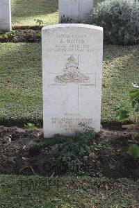 Tel El Kebir War Memorial Cemetery - Wilton, Alexander